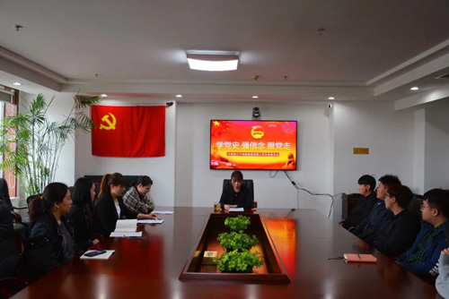 公司團(tuán)支部開展“學(xué)黨史、強(qiáng)信念、跟黨走”主題團(tuán)日活動
